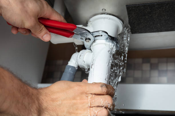 Best Professional water damage repair  in Zumbrota, MN