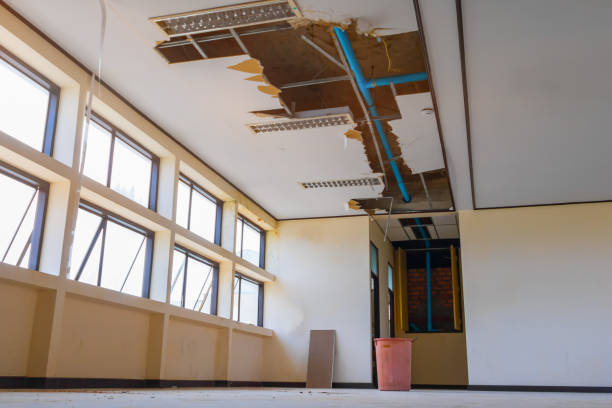 Best Flood damage cleanup  in Zumbrota, MN