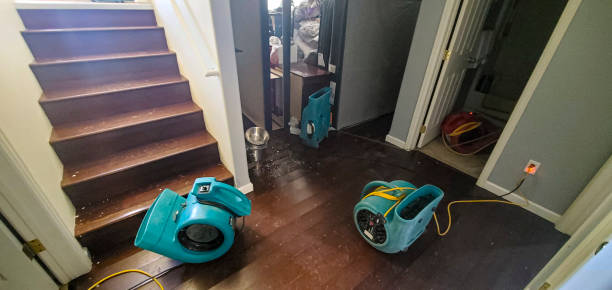 Best Residential water damage restoration  in Zumbrota, MN