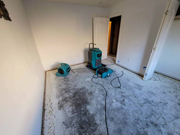 Best Flood damage cleanup  in Zumbrota, MN