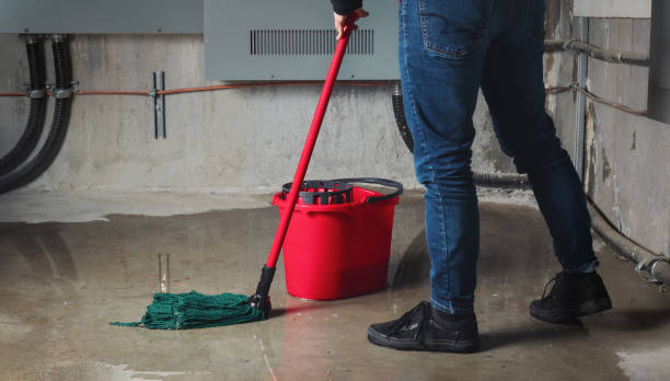 Best Water damage restoration near me  in Zumbrota, MN
