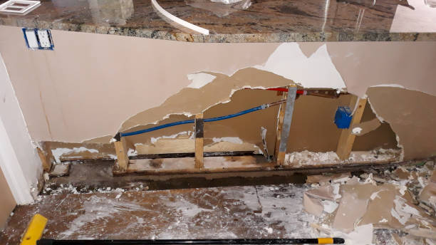 Best Ceiling water damage repair  in Zumbrota, MN