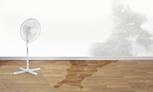 Best Flood restoration services  in Zumbrota, MN
