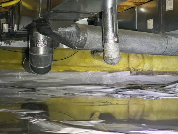 Best 24/7 water damage repair  in Zumbrota, MN