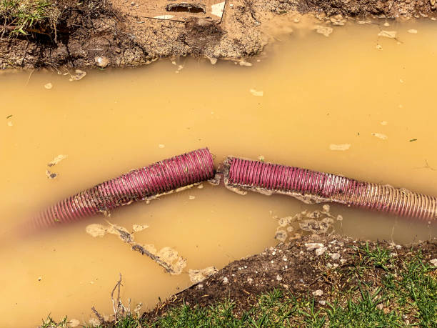 Best Water damage contractors near me  in Zumbrota, MN