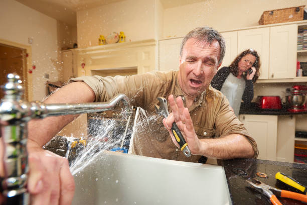 Best Sewage cleanup and water damage restoration  in Zumbrota, MN